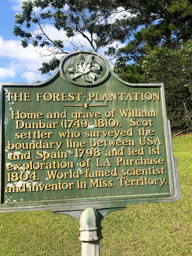 The Forest Plantation