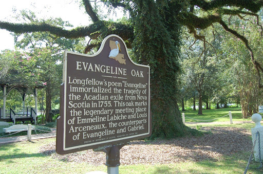Evangeline Oak