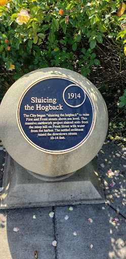 Sluicing the Hogback