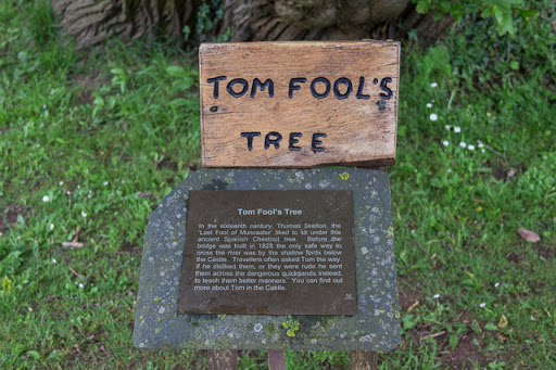 Tom Fool's Tree, Garden, Muncaster Castle, Cumbria