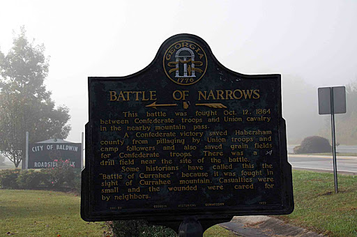 Battle of Narrows