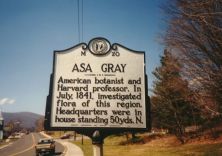 ASA GRAY