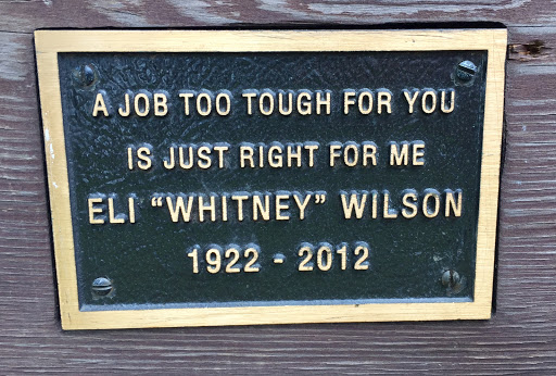 Eli Wilson