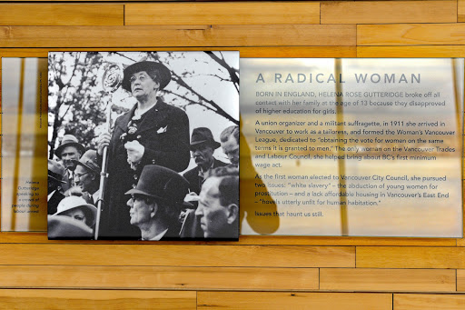 A Radical Woman (Helena Gutteridge)