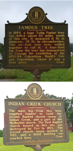 Famous Tree / Indian Creek Church