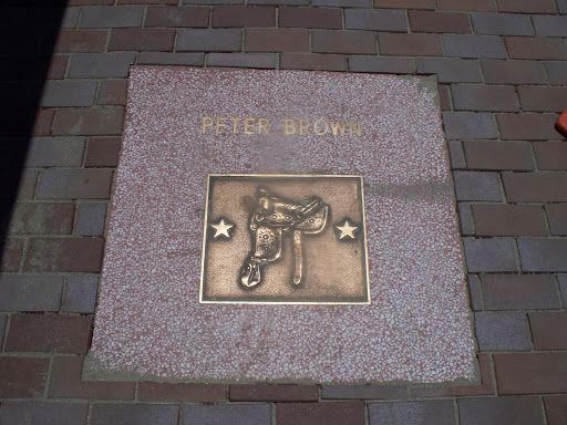 Peter Brown's Saddle