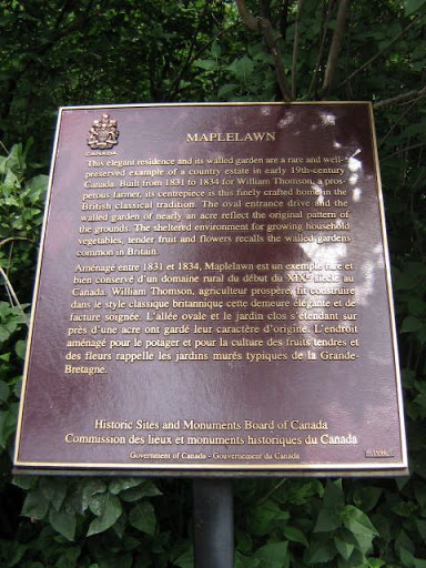 Maplelawn