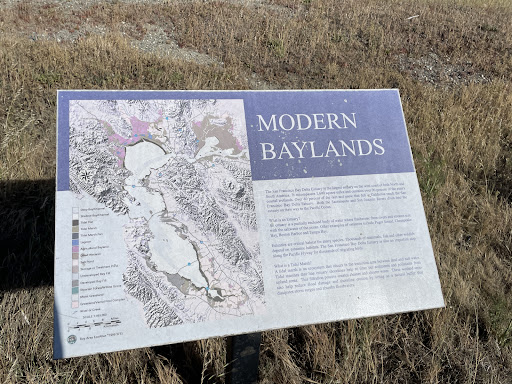 Modern Baylands