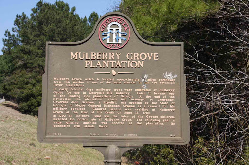 Mulberry Grove Plantation
