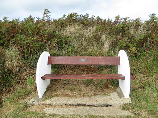 A Seat Commemorating Oleg Prokofiev