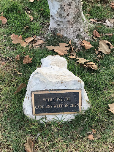 Caroline Weedon Chen