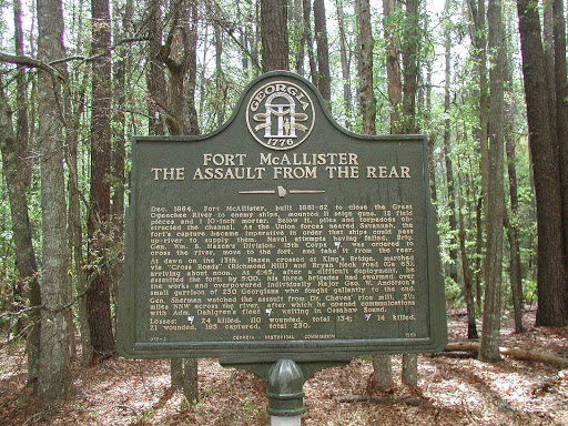 Fort McAllister The Assault From The Rear