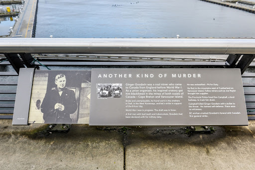 Another Kind of Murder (Ginger Goodwin)