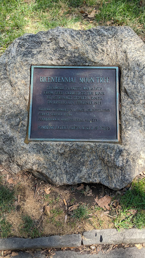 Bicentennial Moon Tree