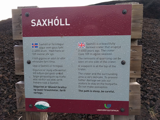 Saxholl