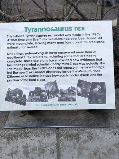 T. Rex