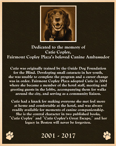 Catie Copley