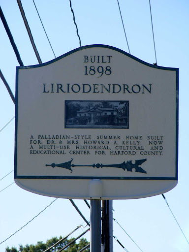 Liriodendron