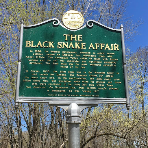 The Black Snake Affair