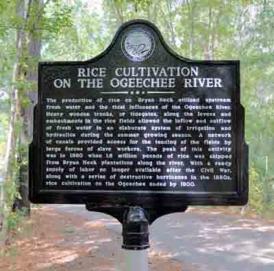 Rice Cultivation on the Ogeechee