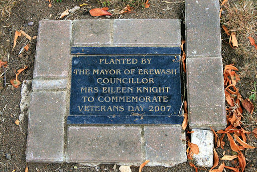Plaque beside an oak tree