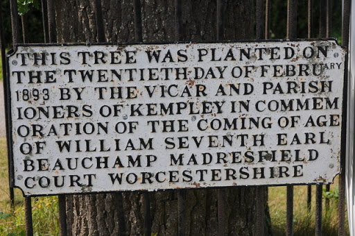 Plaque on an oak tree, Kempley