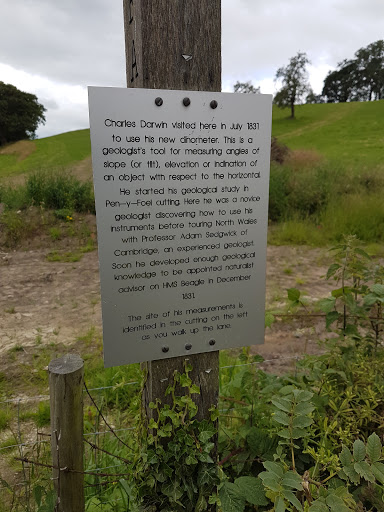 Darwin studies geology