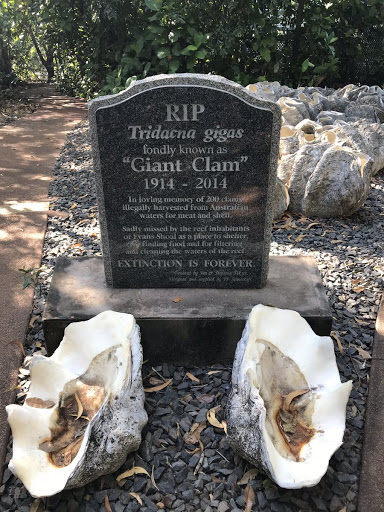 RIP Giant Clam