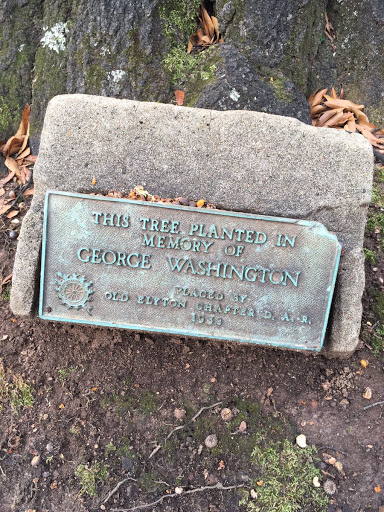 In Memory of George Washington