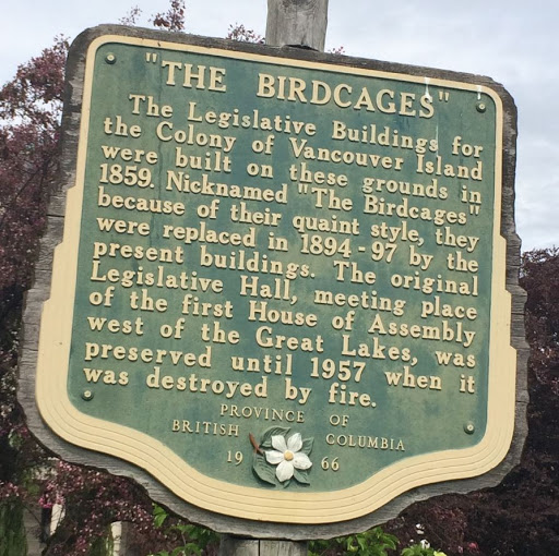 The Birdcages