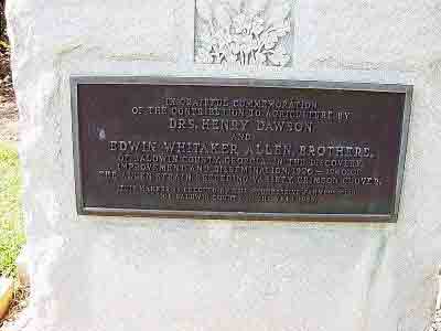 Drs. Henry Dawson and Edwin Whitaker, Allen, Brothers