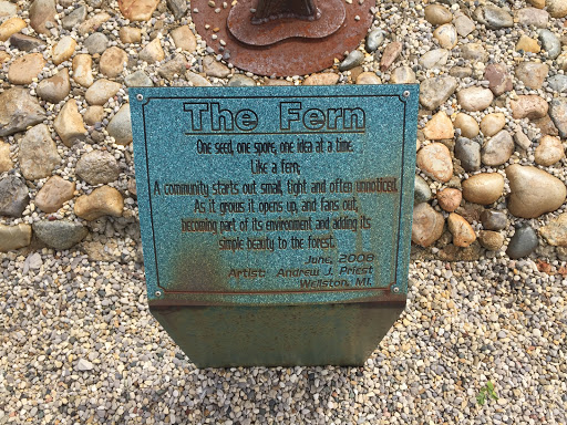 The Fern
