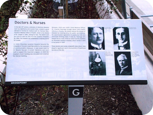 Doctors & Nurses