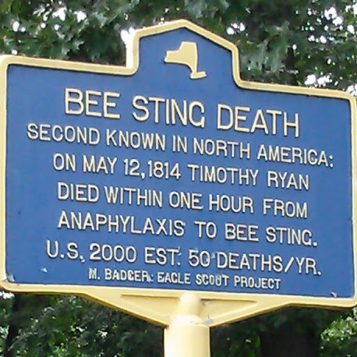 Bee Sting Death #2