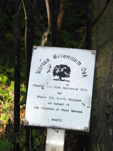 Plaque with Mersea Millennium Oak