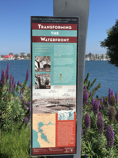 Transforming the Waterfront
