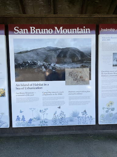 San Bruno Mountain