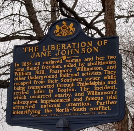 The Liberation of Jane Johnson