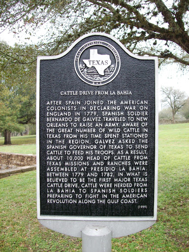 Cattle Drive From La Bahia