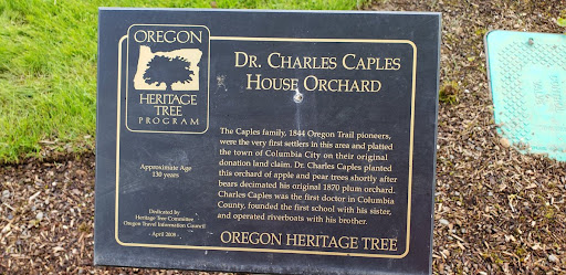 Dr Charles Caples House Orchard