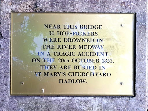 Tragic Accident Hop-Pickers