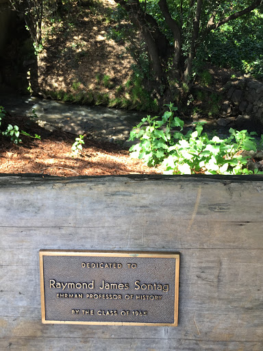 Raymonnd James Sontag, Ehrman Professor of HIstory
