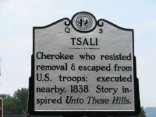 TSALI