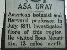 ASA GRAY
