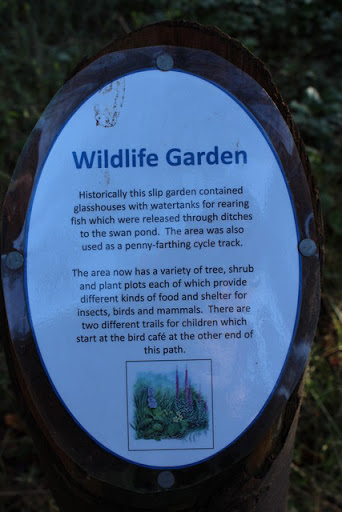 Wildlife Garden, Culzean Country Park