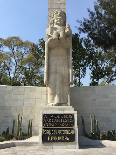 Porque su Maternidad fue Voluntaria