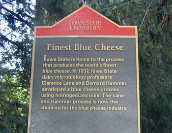 Finest Blue Cheese