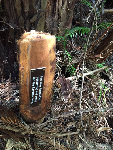 Redwood Markers