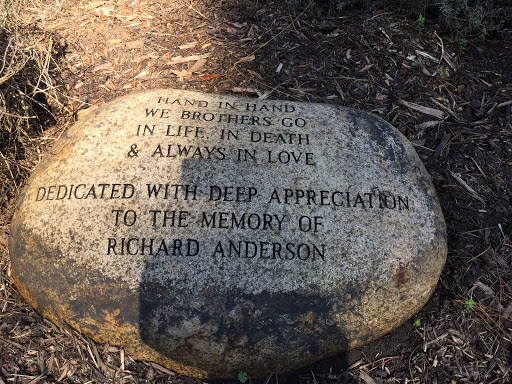 Richard Anderson