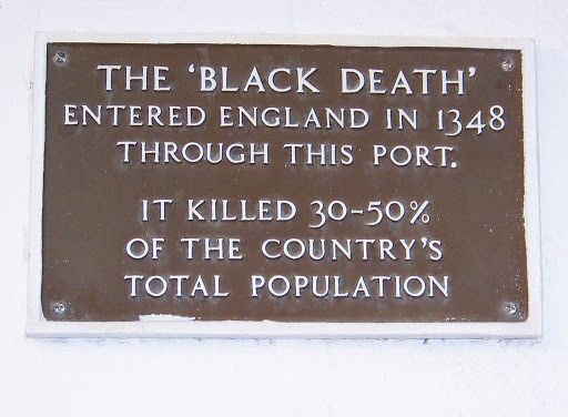 It Killed 30 - 50% of the Country's Total Population